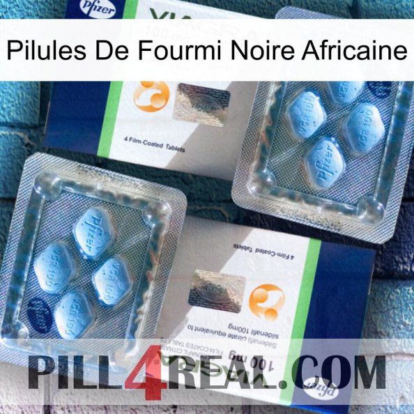 African Black Ant Pills viagra5